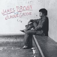 James Brown - In the Jungle Groove - LP Vinyl Record Hub