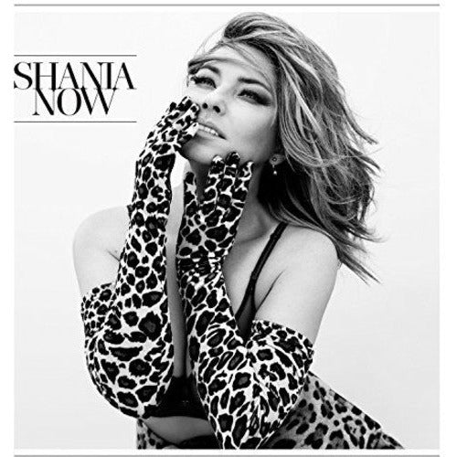 Shania Twain - Now - LP Vinyl Record Hub
