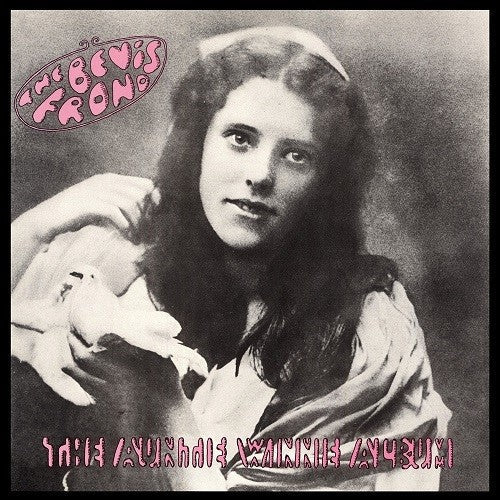 The Bevis Frond - Auntie Winnie Album - LP Vinyl Record Hub