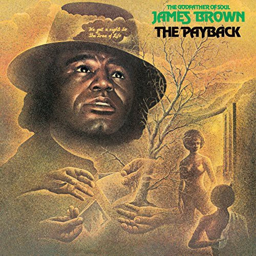 James Brown - The Payback - LP Vinyl Record Hub