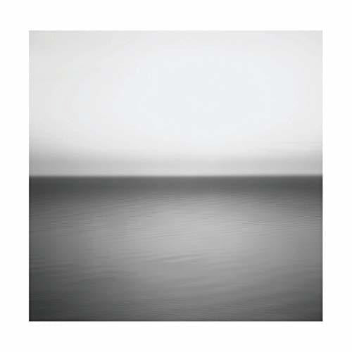 U2 - No Line On The Horizon - LP Vinyl Record Hub