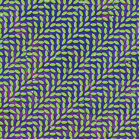 Animal Collective - Merriweather Post Pavilion - LP Vinyl Record Hub