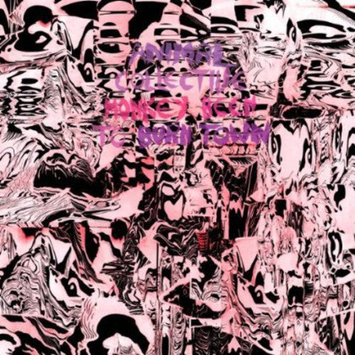 Animal Collective - Monkey Been to Burntown - 12" Vinyl Record Hub