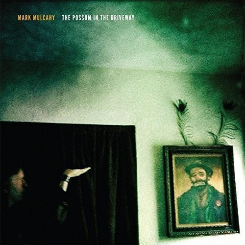 Mark Mulcahy - The Possum In The Driveway - LP Vinyl Record Hub