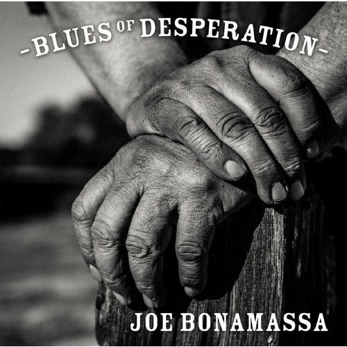 Joe Bonamassa - Blues of Desperation - LP Vinyl Record Hub