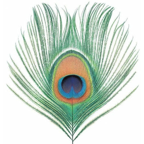 XTC - Apple Venus Vol. 1 - LP Vinyl Record Hub