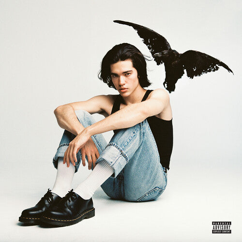 Conan Gray - Kid Krow - LP Vinyl Record Hub