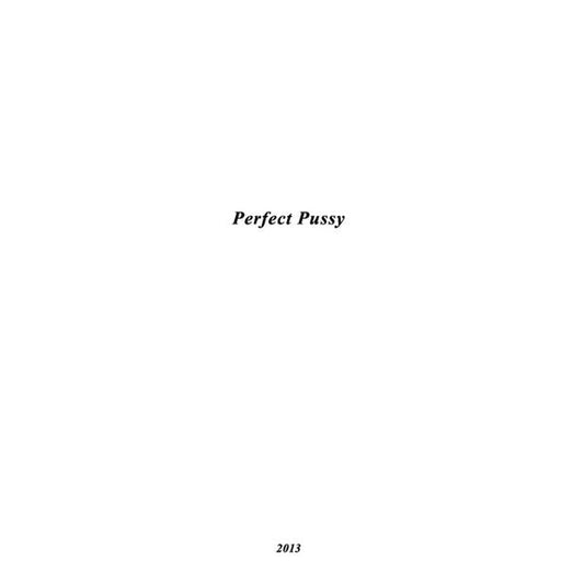 Perfect Pussy - I Have los All Desire for Feeling - LP Vinyl Record Hub