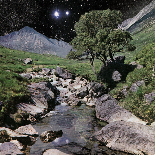 The Beta Band - The Beta Band - LP Vinyl Record Hub
