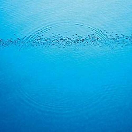 Caribou - Suddenly - LP Vinyl Record Hub