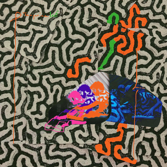 Animal Collective - Tangerine Reef - LP Vinyl Record Hub