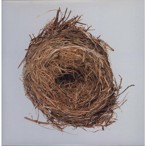 Wilco - A Ghost Is Born - LP Vinyl Record Hub
