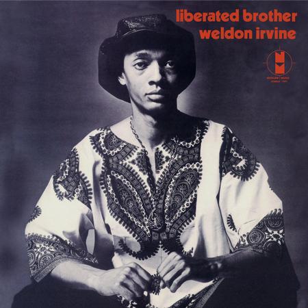 Weldon Irvine - Liberated Brother - Pure Pleasure LP Vinyl LP Hub