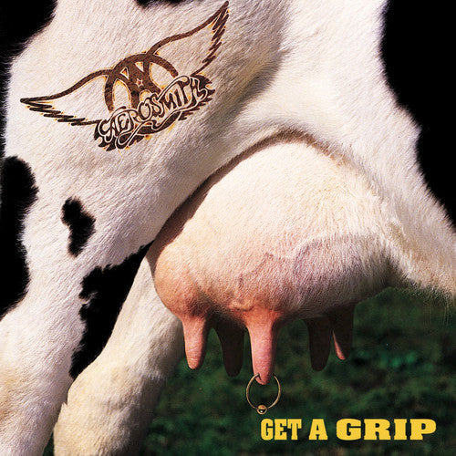 Aerosmith - Get A Grip - LP Vinyl Record Hub