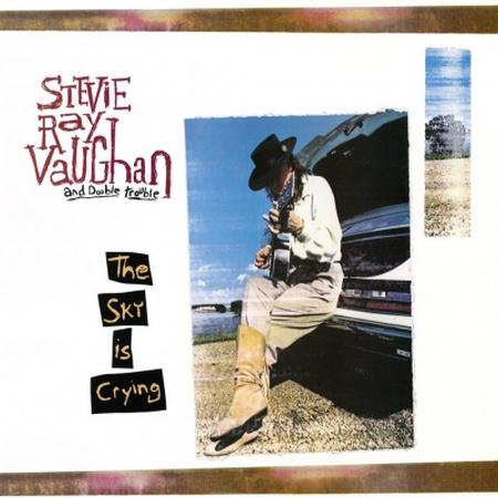 Stevie Ray Vaughan - The Sky Is Crying - Analogue Productions 45rpm LP Vinyl LP Hub