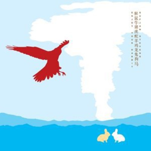 Sufjan Stevens - Enjoy Your Rabbit - LP Vinyl Record Hub