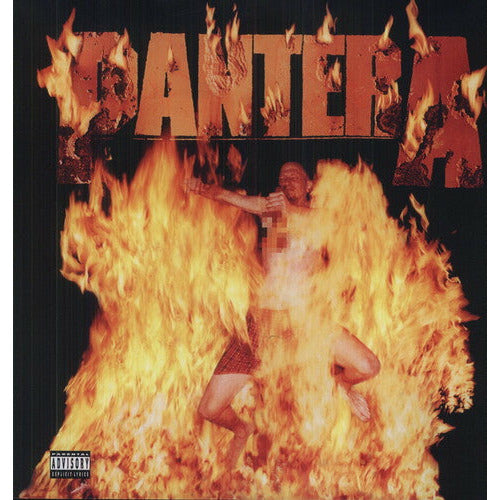 Pantera - Reinventing the Steel - LP Vinyl Record Hub