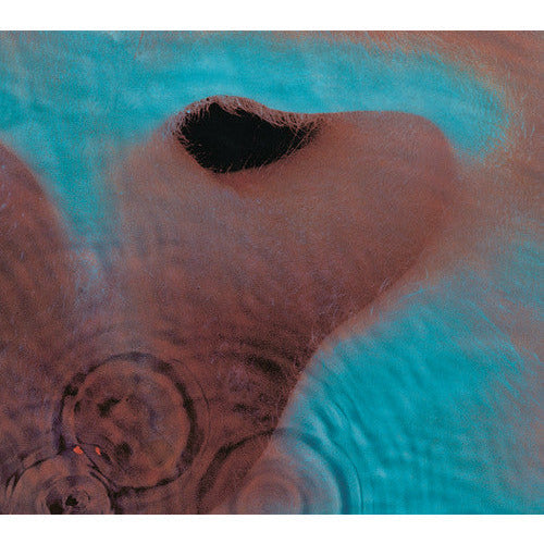 Pink Floyd - Meddle - LP Vinyl Record Hub