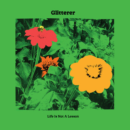 Glitterer - Life Is Not A Lesson - Indie LP Vinyl Record Hub