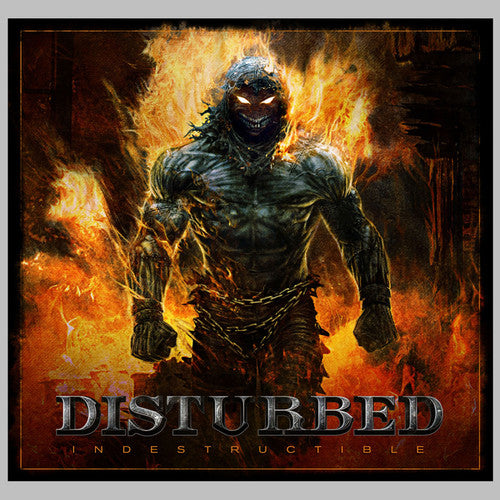 Disturbed - Indestructible - LP Vinyl Record Hub