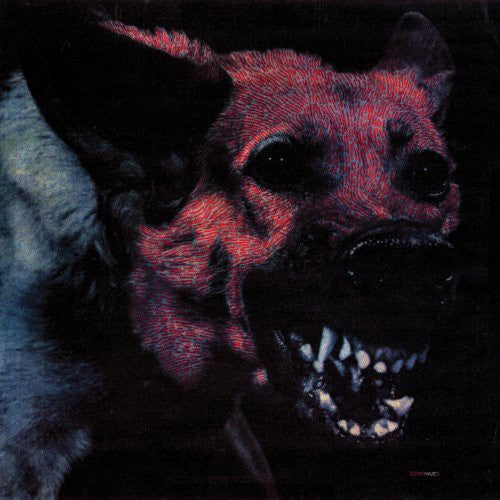 Protomartyr - Under Color of Official Right - LP Vinyl Record Hub