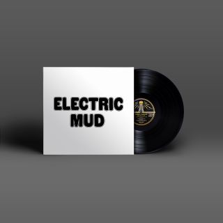 Muddy Waters - Electric Mud - LP Vinyl Record Hub