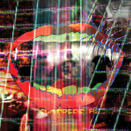 Animal Collective - Centipede HZ - LP Vinyl Record Hub