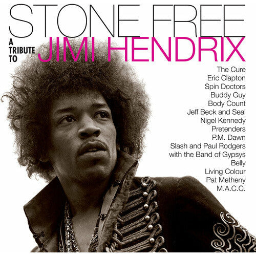 Various Artists - Stone Free: Jimi Hendrix Tribute - LP Vinyl Record Hub