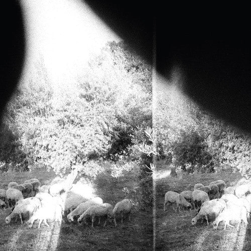 Godspeed You! Black Emperor - Asunder Sweet & Other Distress - LP Vinyl Record Hub