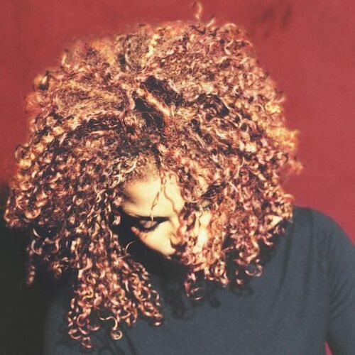 Janet Jackson - The Velvet Rope - LP Vinyl Record Hub