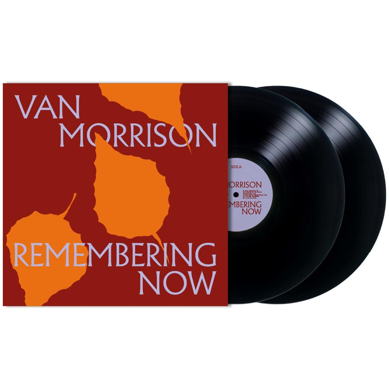 Van Morrison - Remembering Now - LP Vinyl Record Hub
