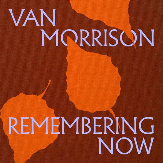 Van Morrison - Remembering Now - LP Vinyl Record Hub